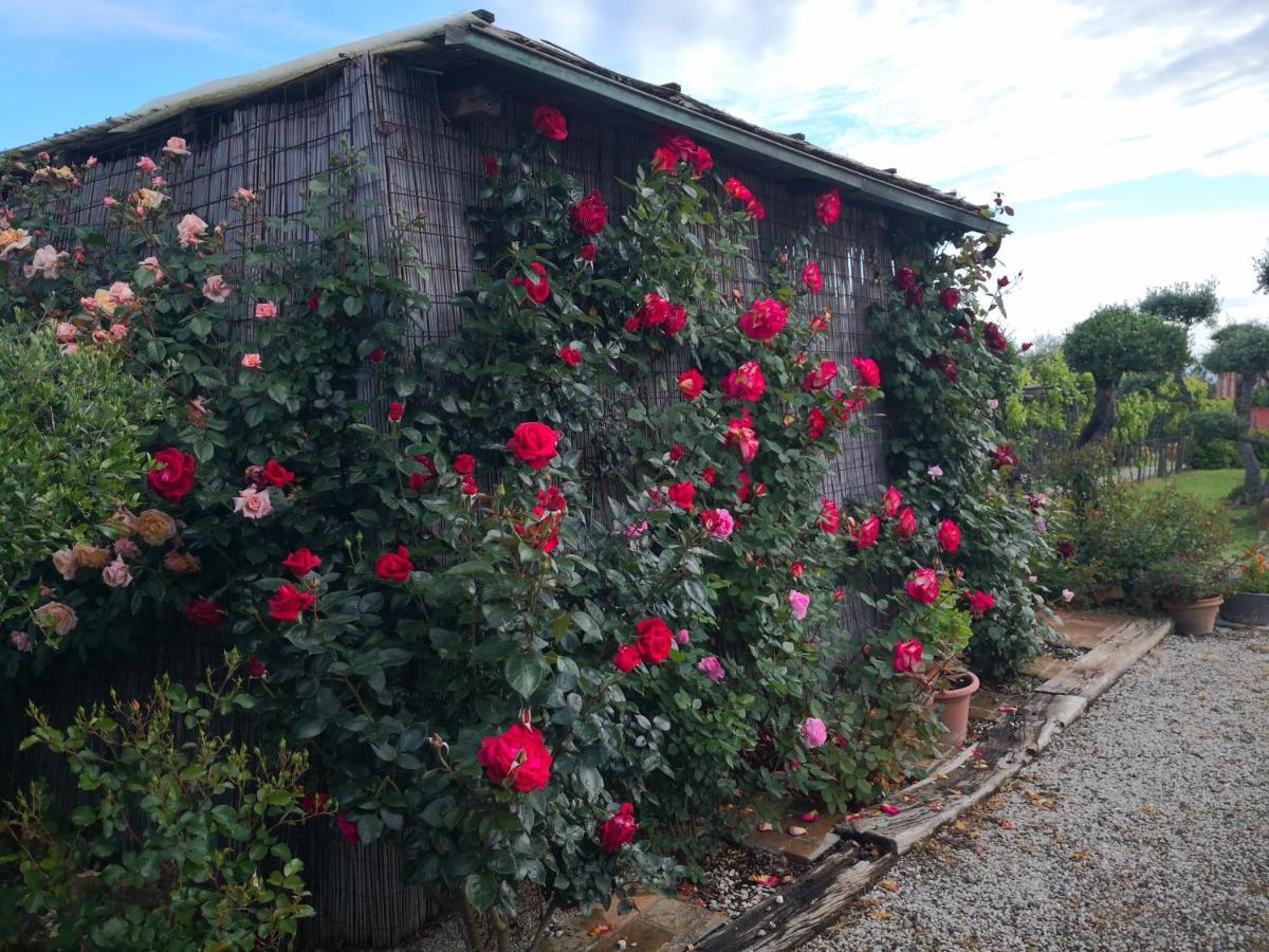Agriturismo I Colli モンタイオーネ エクステリア 写真
