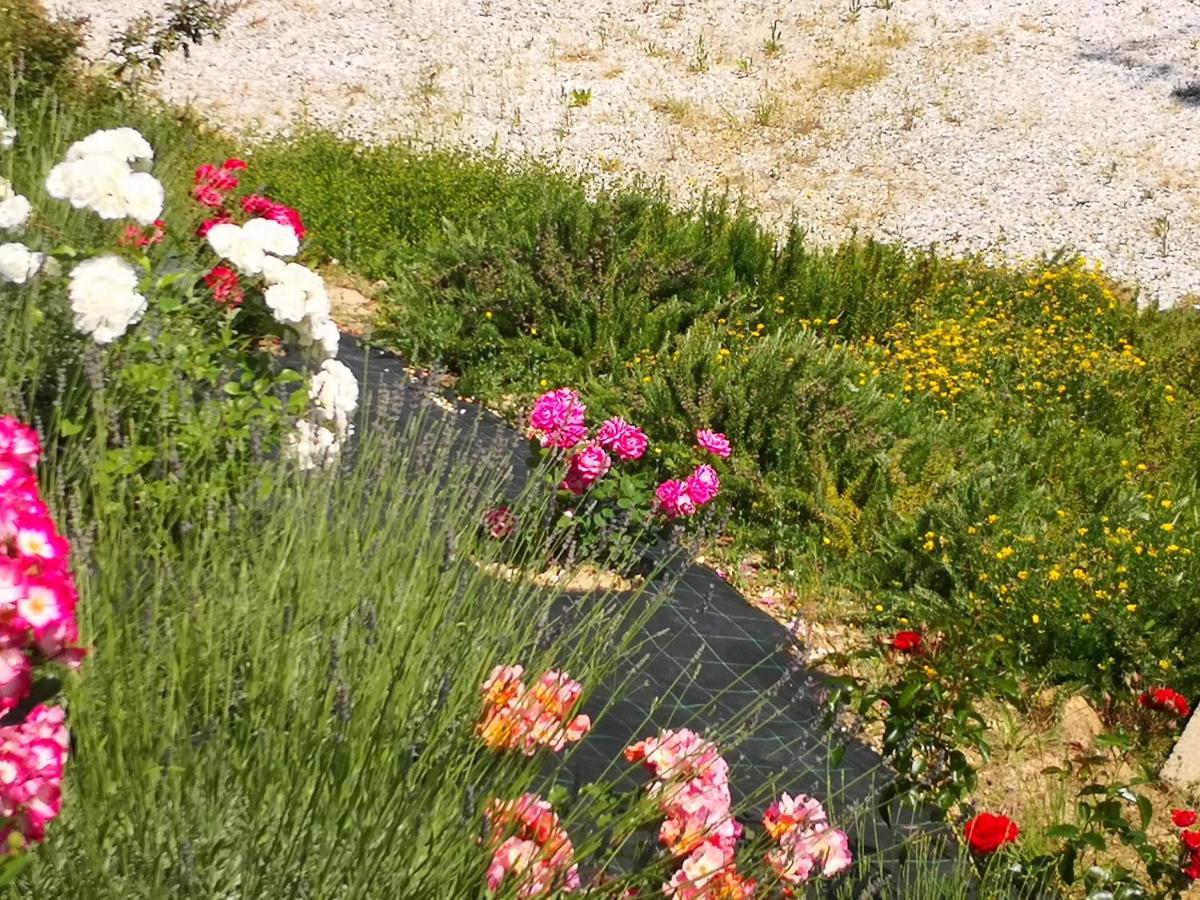 Agriturismo I Colli モンタイオーネ エクステリア 写真