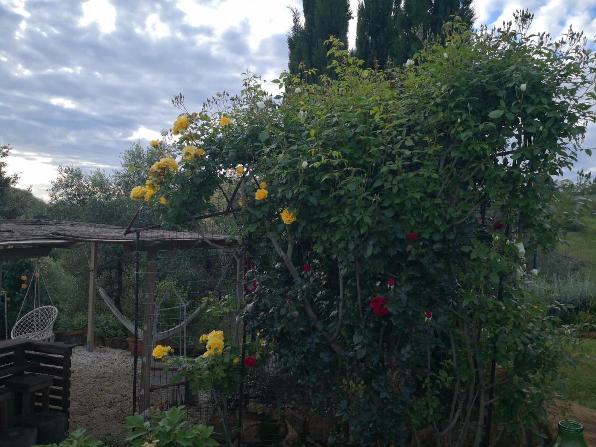 Agriturismo I Colli モンタイオーネ エクステリア 写真