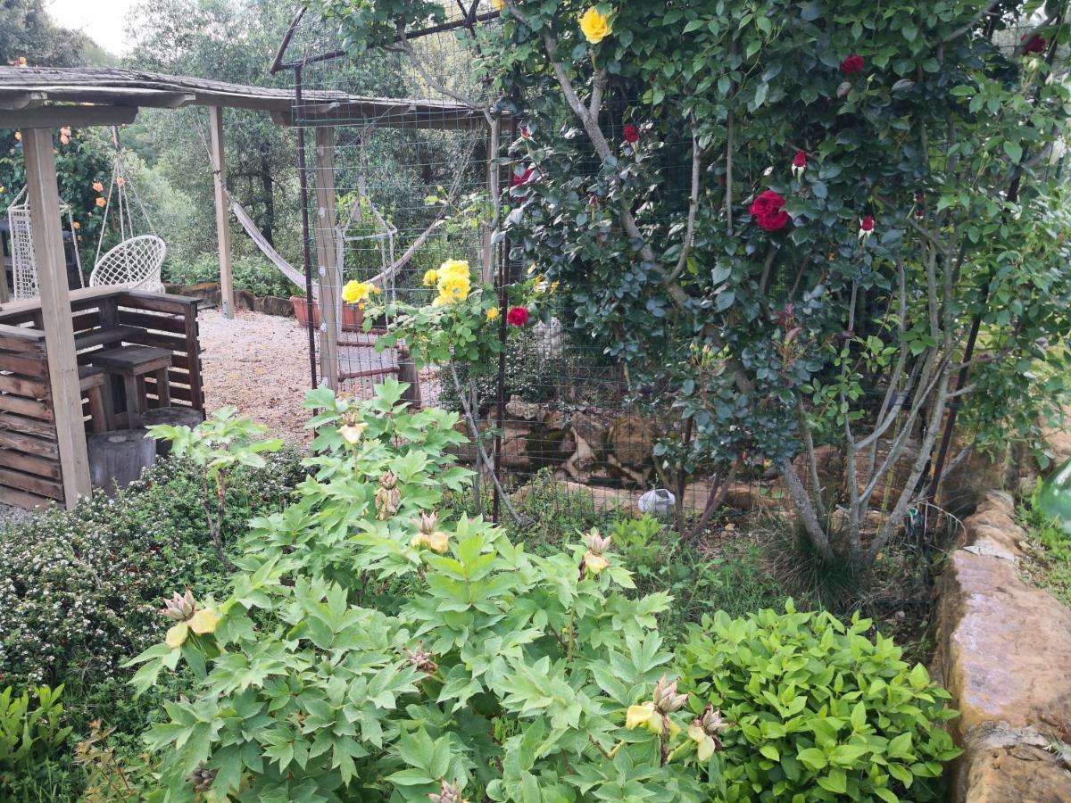 Agriturismo I Colli モンタイオーネ エクステリア 写真